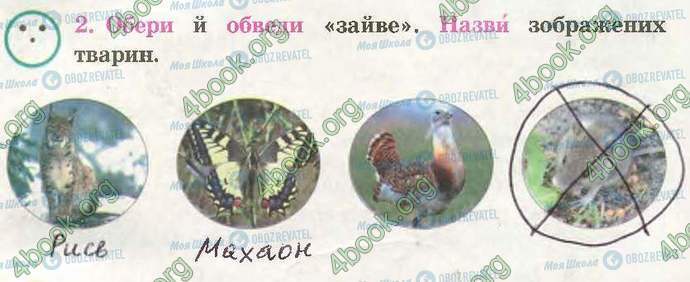 ГДЗ Природознавство 3 клас сторінка Стр45 Впр2